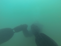DCIM100GOPRO