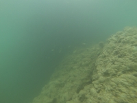 DCIM100GOPRO