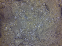 DCIM100GOPRO