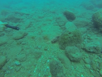 DCIM100GOPRO