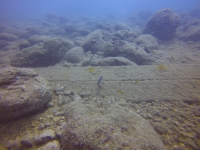 DCIM100GOPRO