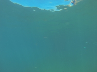 DCIM100GOPRO