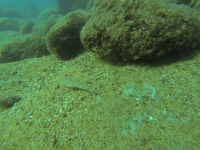 DCIM101GOPRO