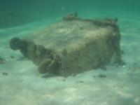 DCIM100PRLNZPARA0068.